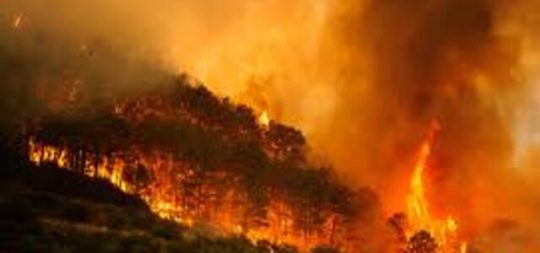 Imagen PLAN MUNICIPAL ANTE INCENDIOS FORESTALES